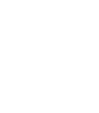 AI Solutions